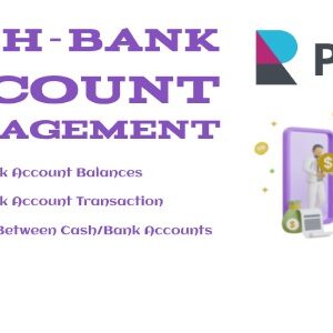 Cash Account Balances For Perfex CRM
